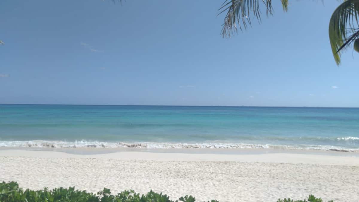 casa martini playacar rental 16