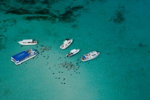 Viewing Stingrays at the Sandbar