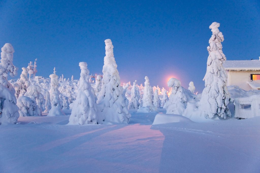 Magic winter. Iso Syote, Finland