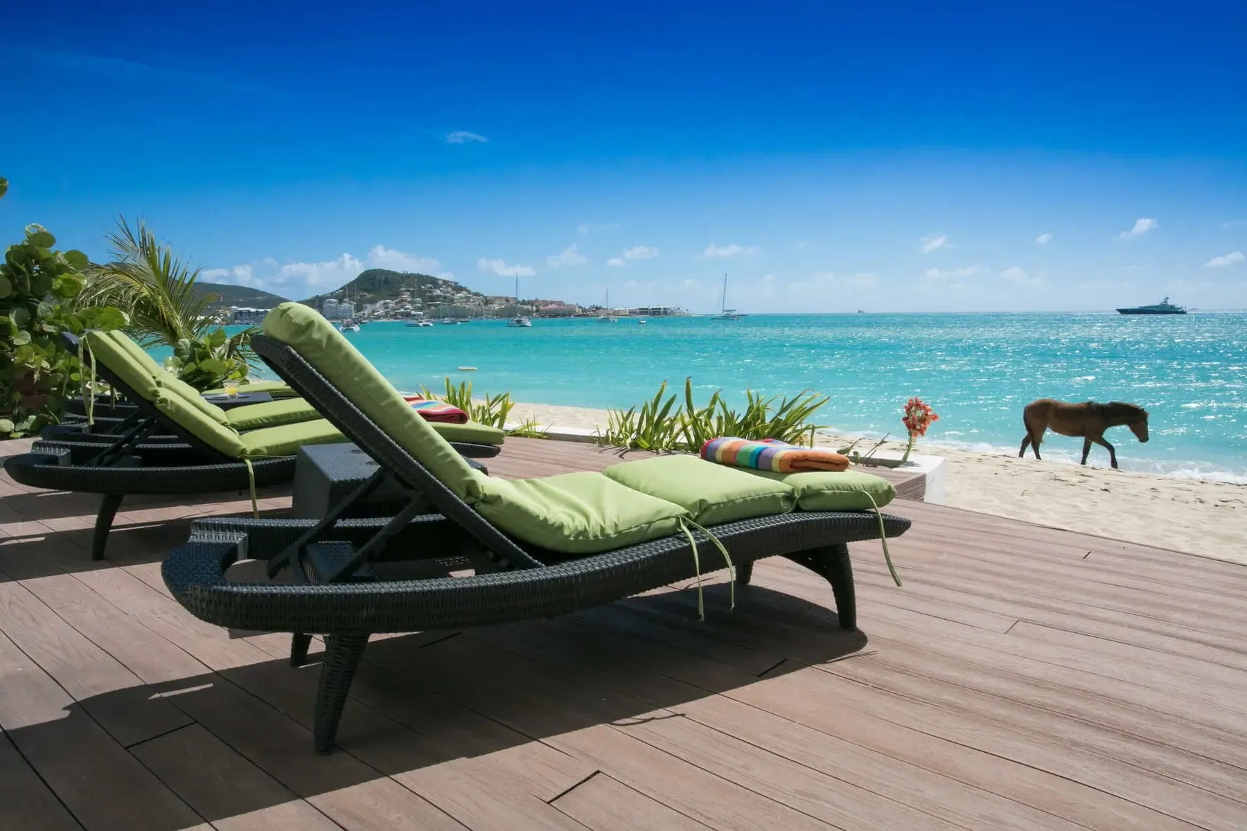Rmoceanfrontrentals St Martin Vittoria 6 Bedroom Villa (28)