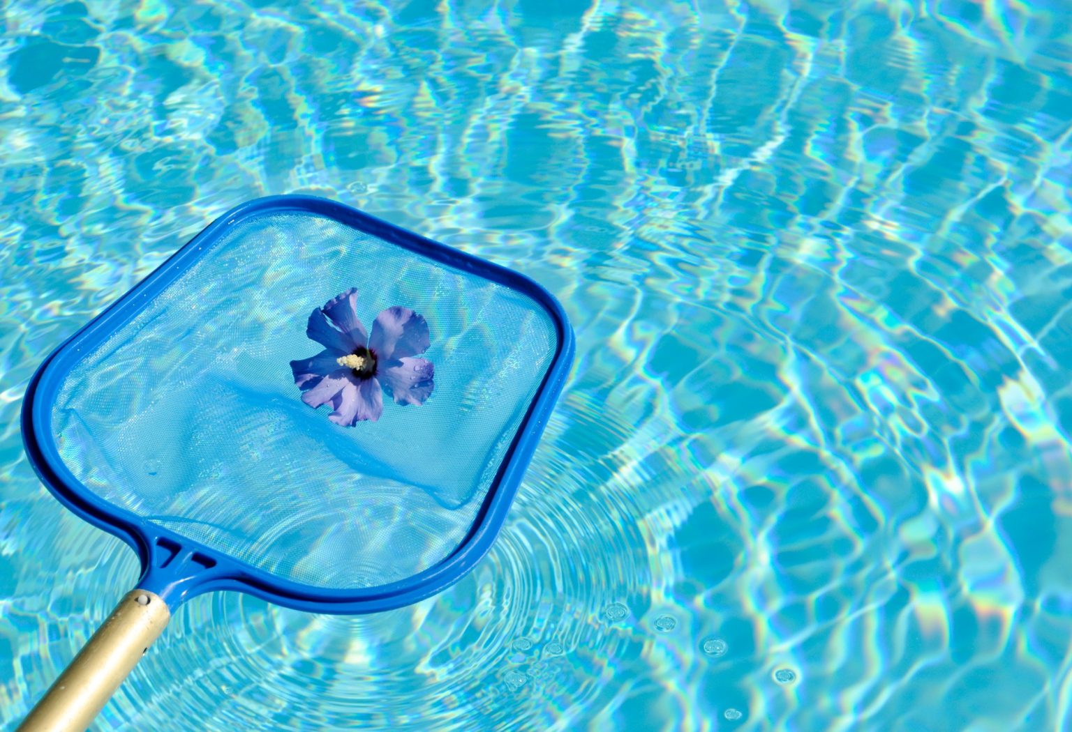 Rmoceanfrontrentals Greekvilla Paros Villa Palmera