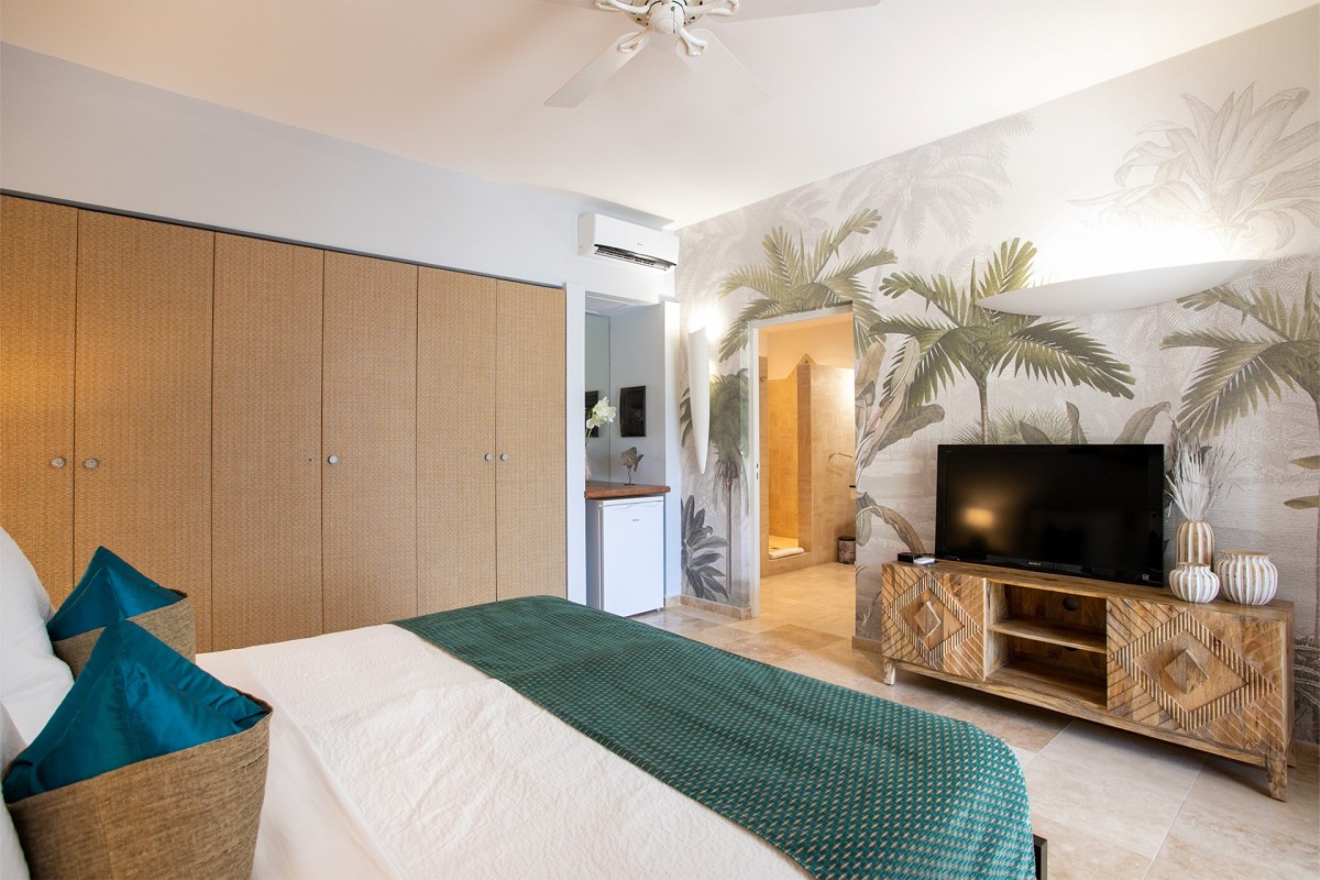 villa palmiers st martin (29)