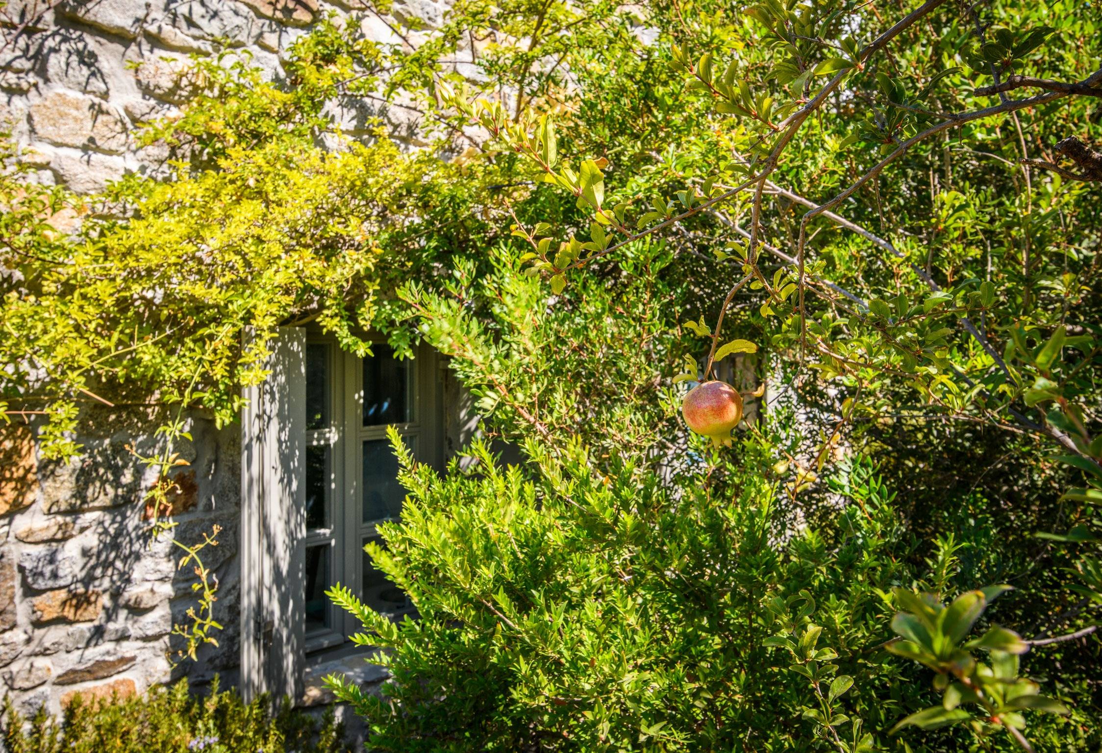 Rmoceanfrontrentals Greekvilla Mykonos Villa Akali