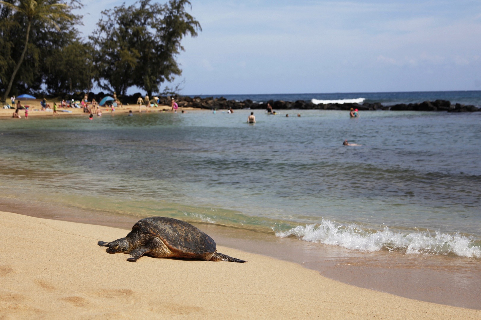Rmoceanfrontrentals Hawaii Hale Pakika at Kukui_ula