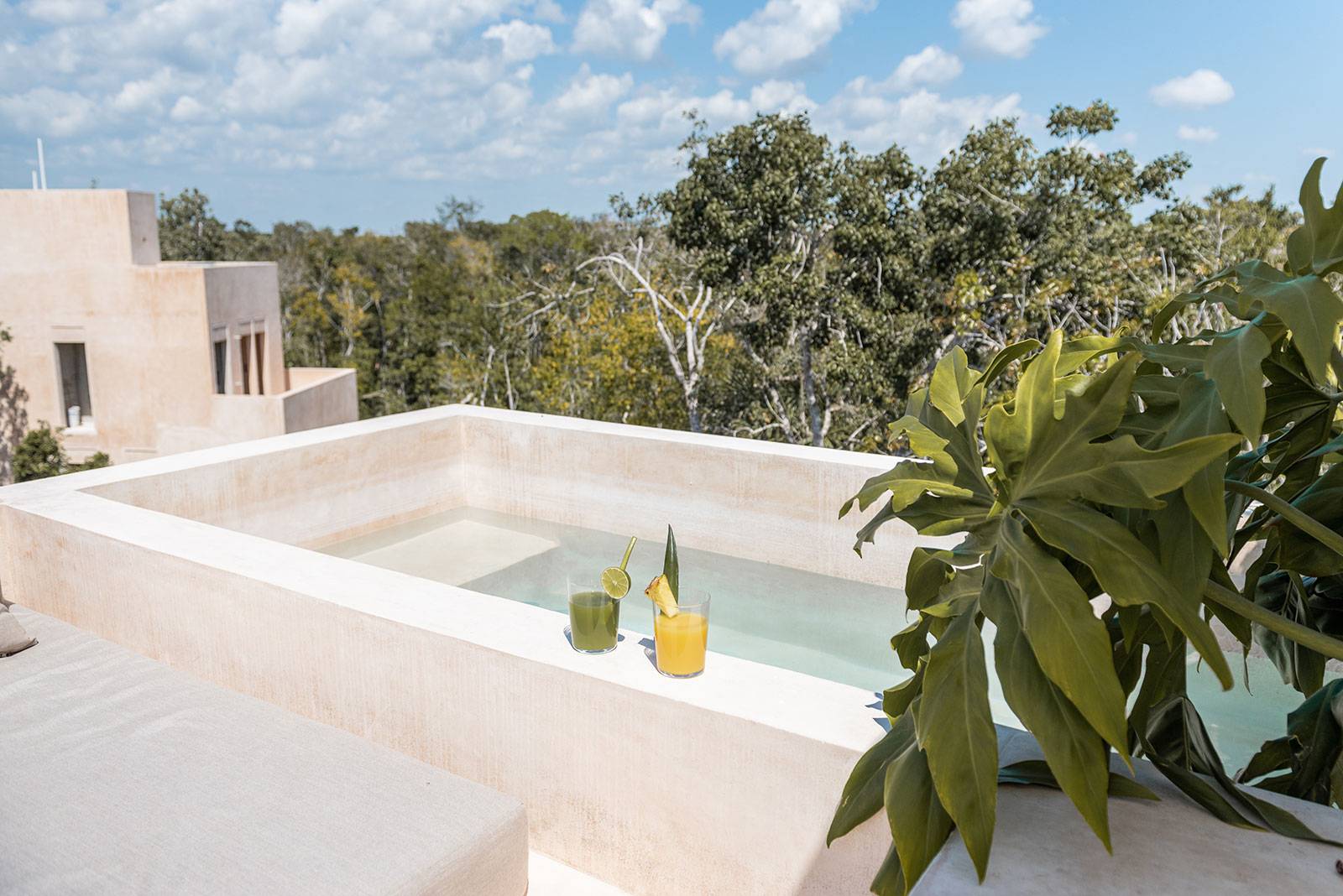 Rmoceanfrontrentals Tulum candela uno tulum jungle villa