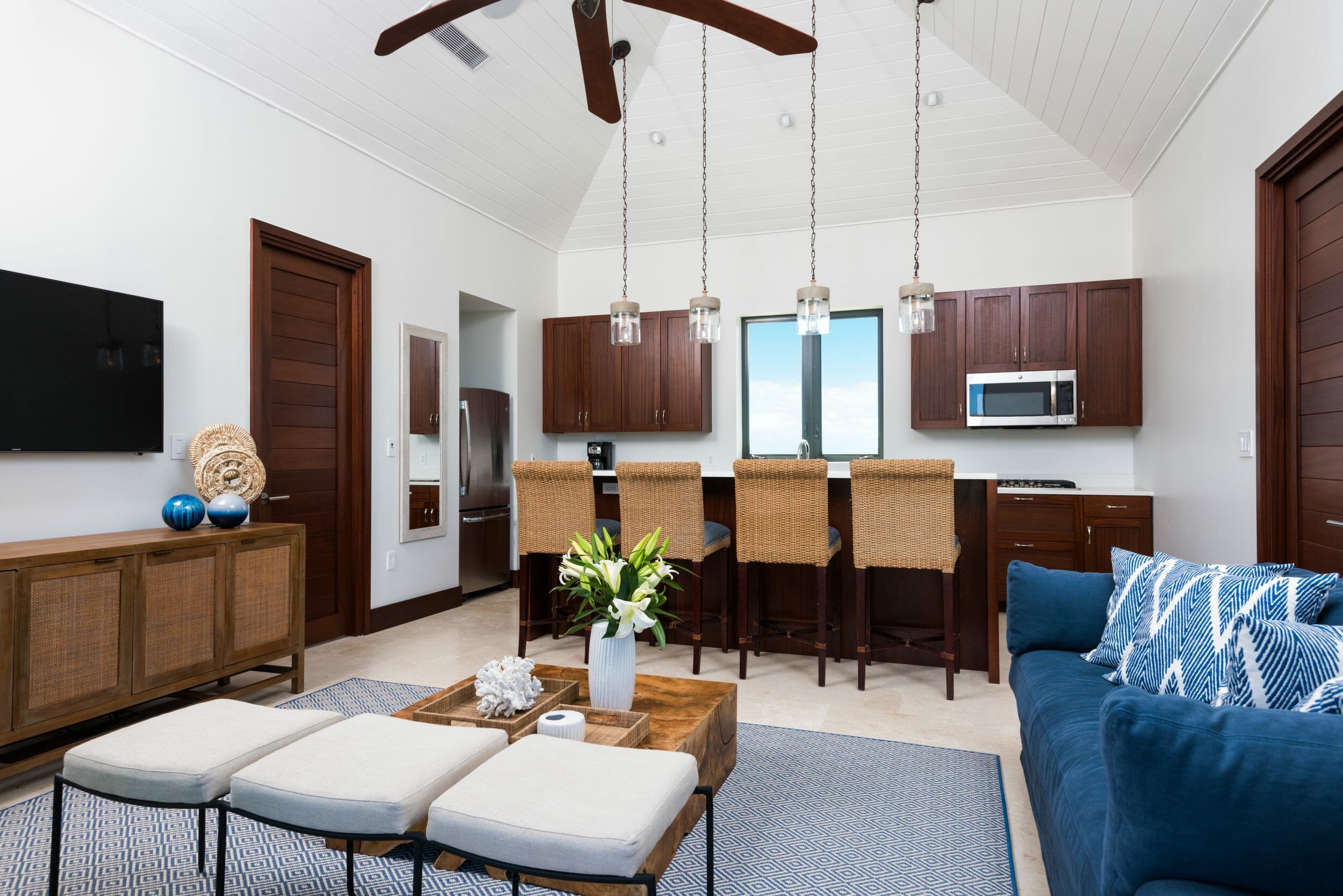 hawksbill turks & caicos (25)