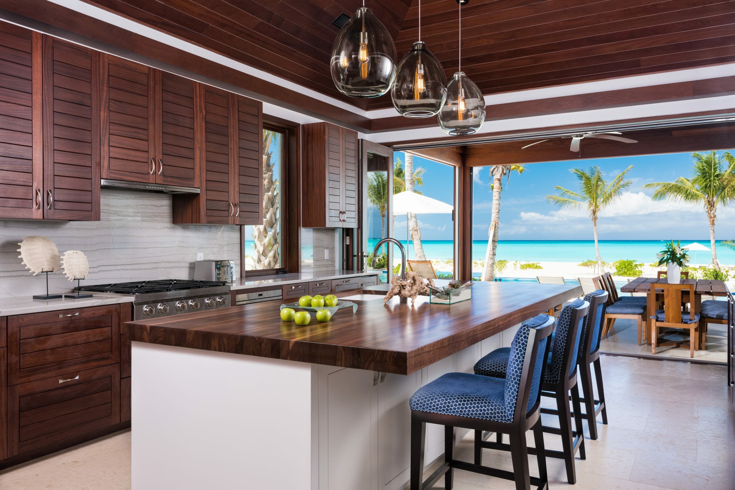 hawksbill turks & caicos (28)