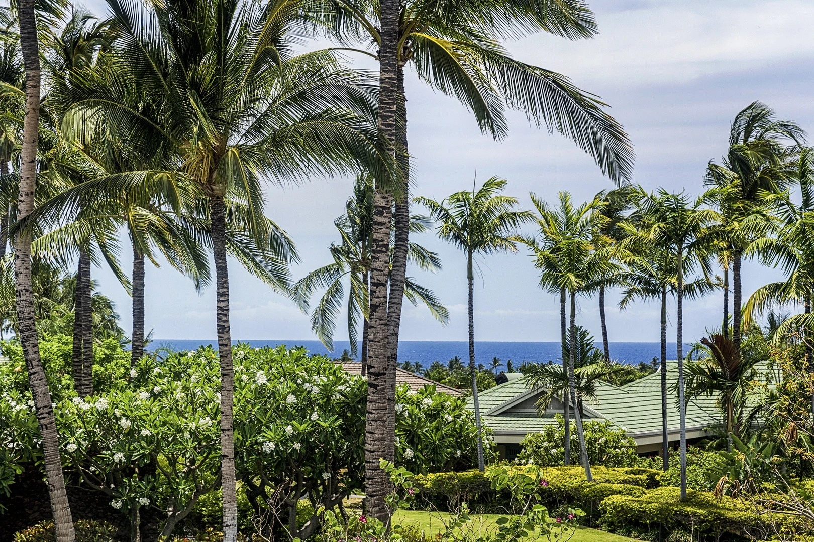 Rmoceanfrontrentals Hawaii Blue Oasis