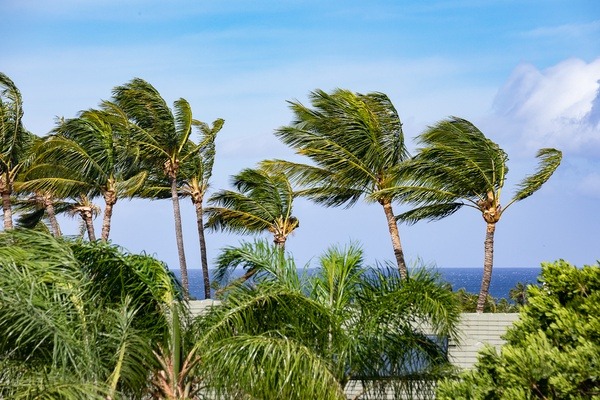 Rmoceanfrontrentals Hawaii Canoe House Beach Walker at Champion Ridge 134
