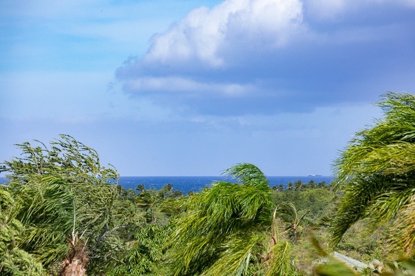 Rmoceanfrontrentals Hawaii Canoe House Beach Walker at Champion Ridge 135