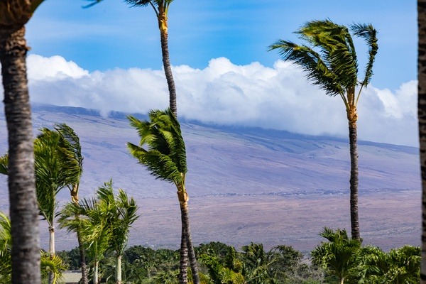Rmoceanfrontrentals Hawaii Canoe House Beach Walker at Champion Ridge 136