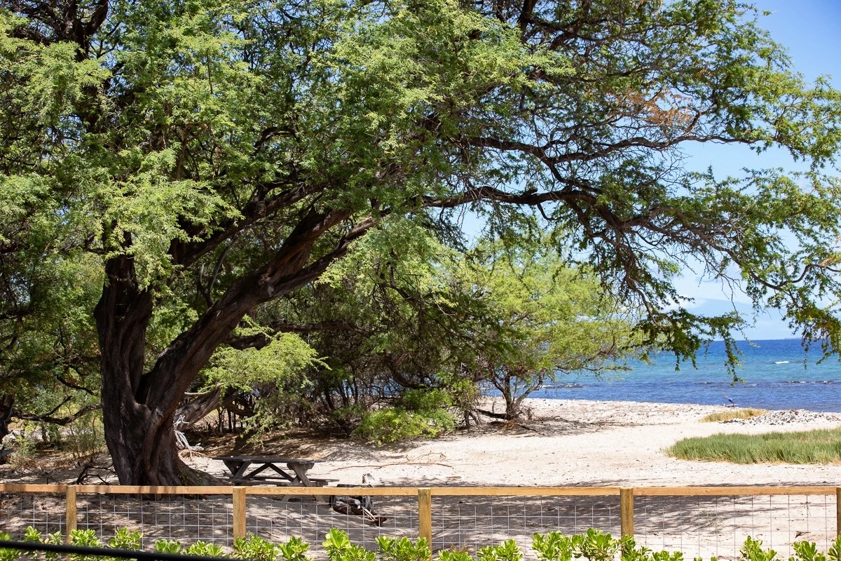 Rmoceanfrontrentals Hawaii Puako Beach Getaway