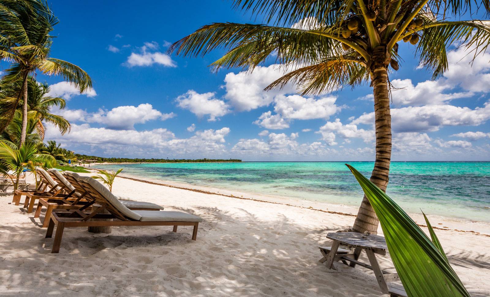 villa la semilla tulum rental 36